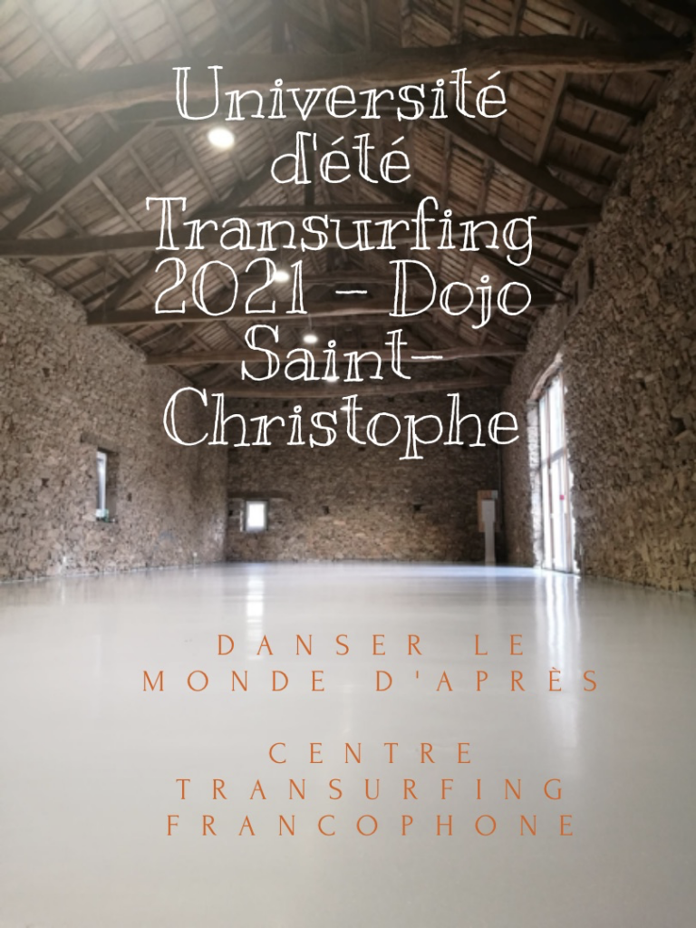 Lire la suite à propos de l’article Newsletter – Danser le monde d’après – Université Transurfing 2021