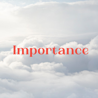 importance